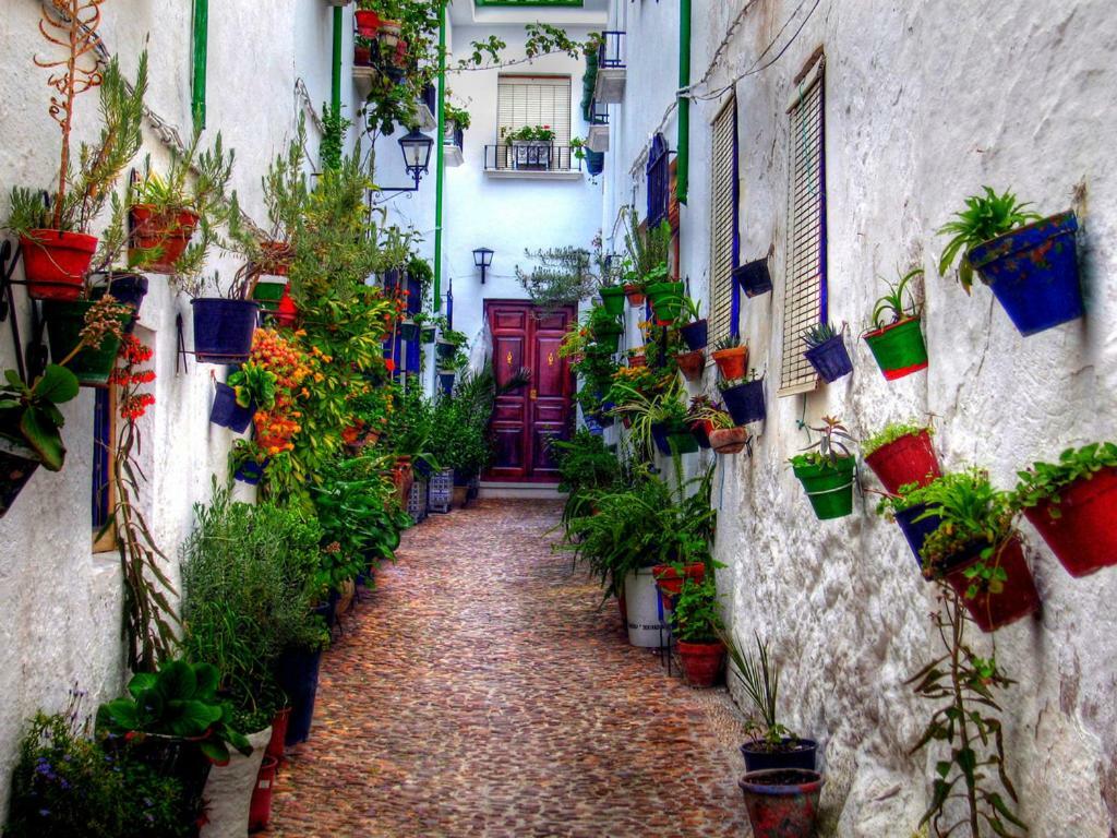 Ferienwohnung El Patio Dona Julia Casares Exterior foto